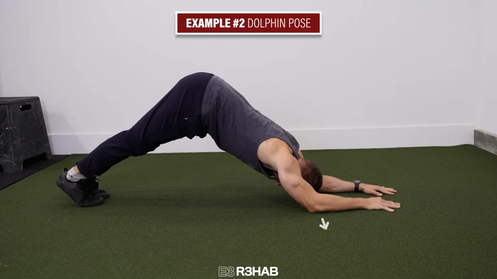 Dolphine Pose scaled 1