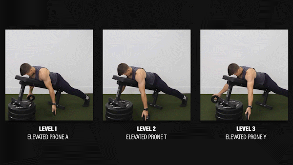 부하가 있는 prone on incline bench aty