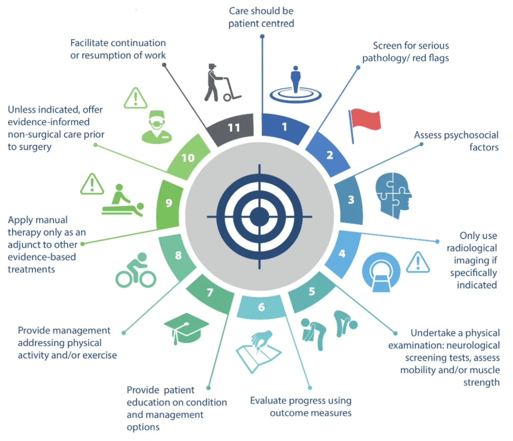 근골격계 통증 치료 가이드라인
근골격계 통증치료 11가지 기준
출처: https://www.physiotutors.com/ko/best-practice-physiotherapy/
