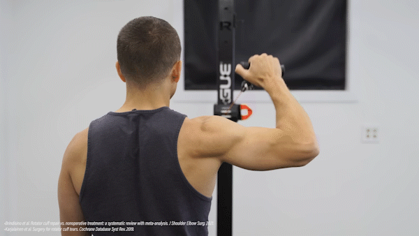 케이블 외회전운동