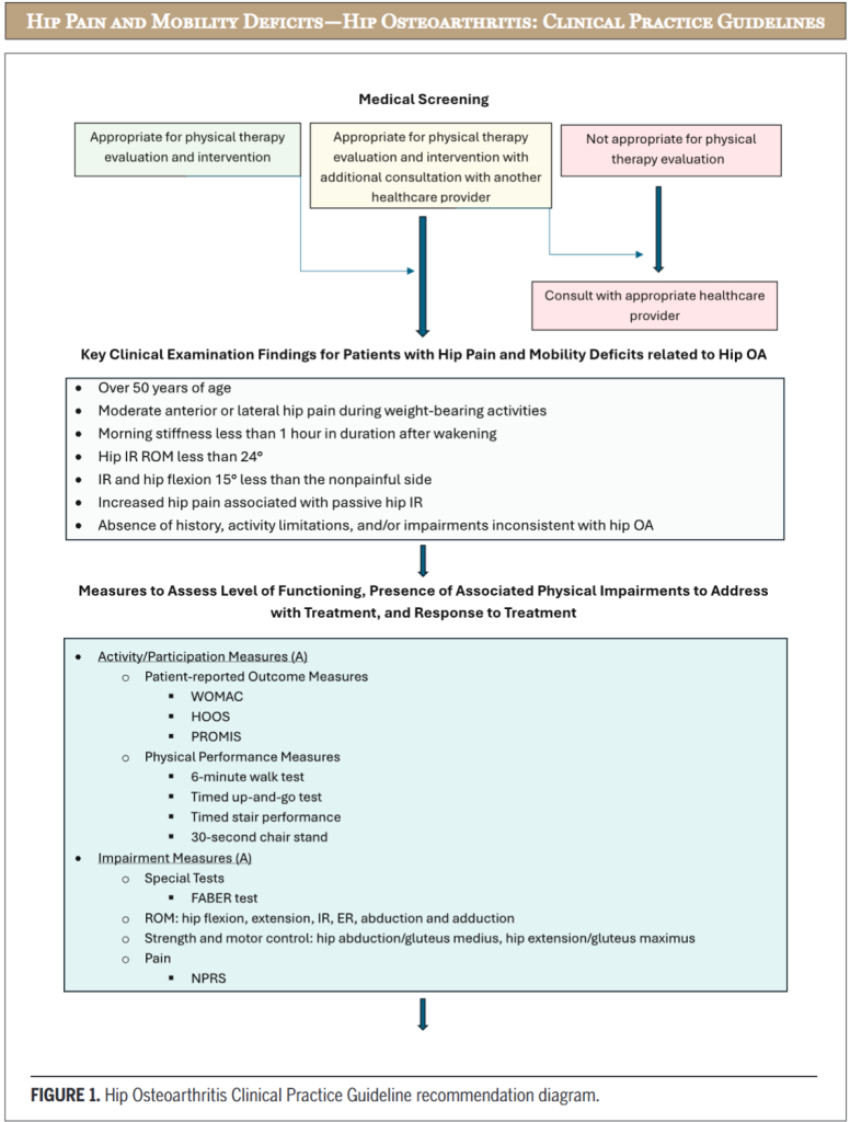 고관절 골관절염 CPG 알고리즘