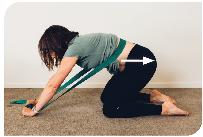 멀리건 컨샙 (출처: 자가 치료 가이드)