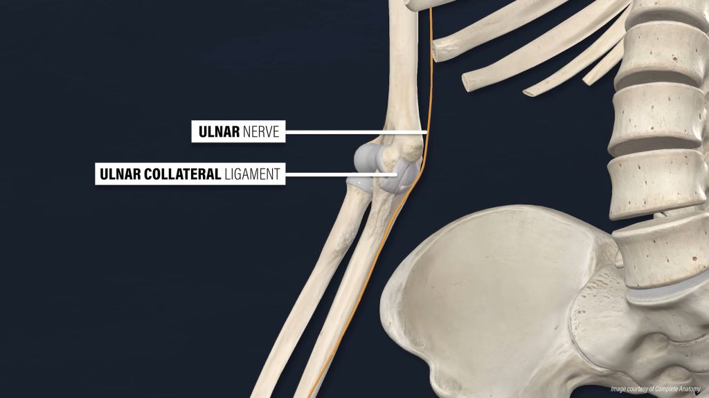 ulnar nerve and ligament