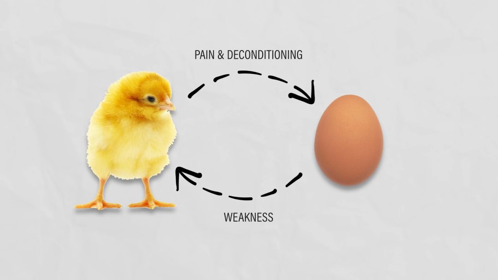 병아리가먼저냐알이먼저냐